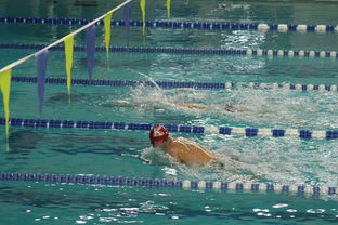 开云体育入口-国际游泳精英赛中国队多人破纪录，国际游泳冠军系列赛