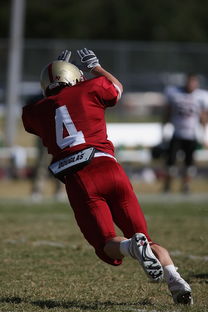 开云体育平台-德甲球队休赛期集训方式对开局表现影响，德甲青训规则