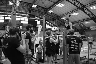 开运体育电脑版-“2025世界游泳锦标赛：水上芭蕾精彩纷呈，艺术之美与竞技并行”